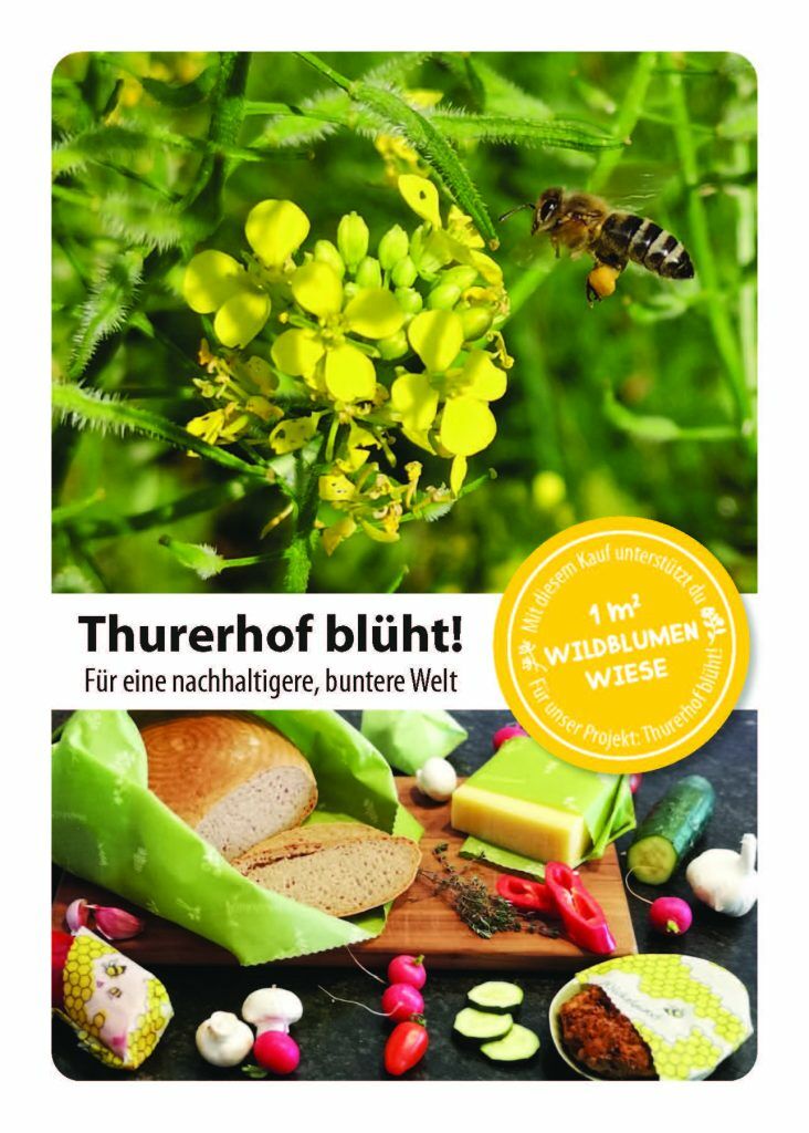 Thurerhof Postkarte Wiese 105x148 druck 003 Seite 1 1 732x1024 - Thurerhof blüht!